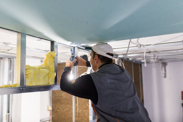 Best Cellulose Insulation in Coram, NY